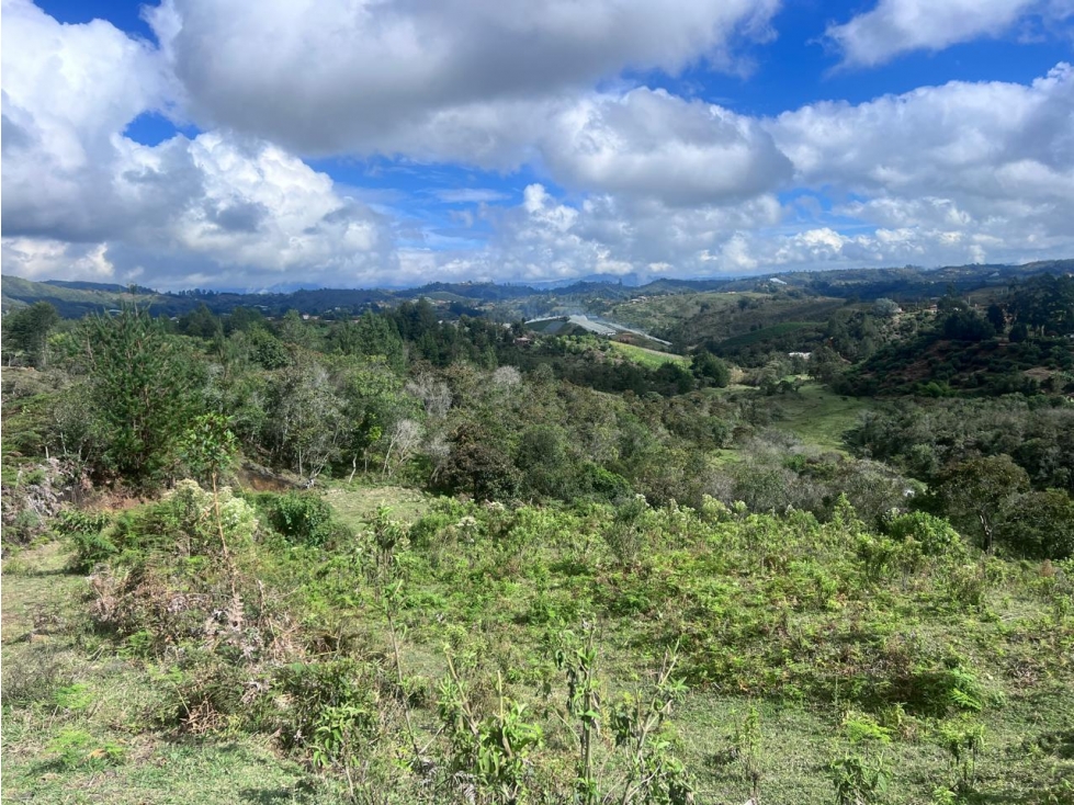 Lote en venta sector Las Cruces, San Vicente — foto 2