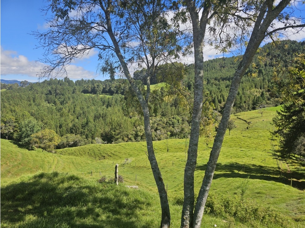 Casa campestre en venta, Vereda Zafra, San Pedro de los Milagros — foto 2