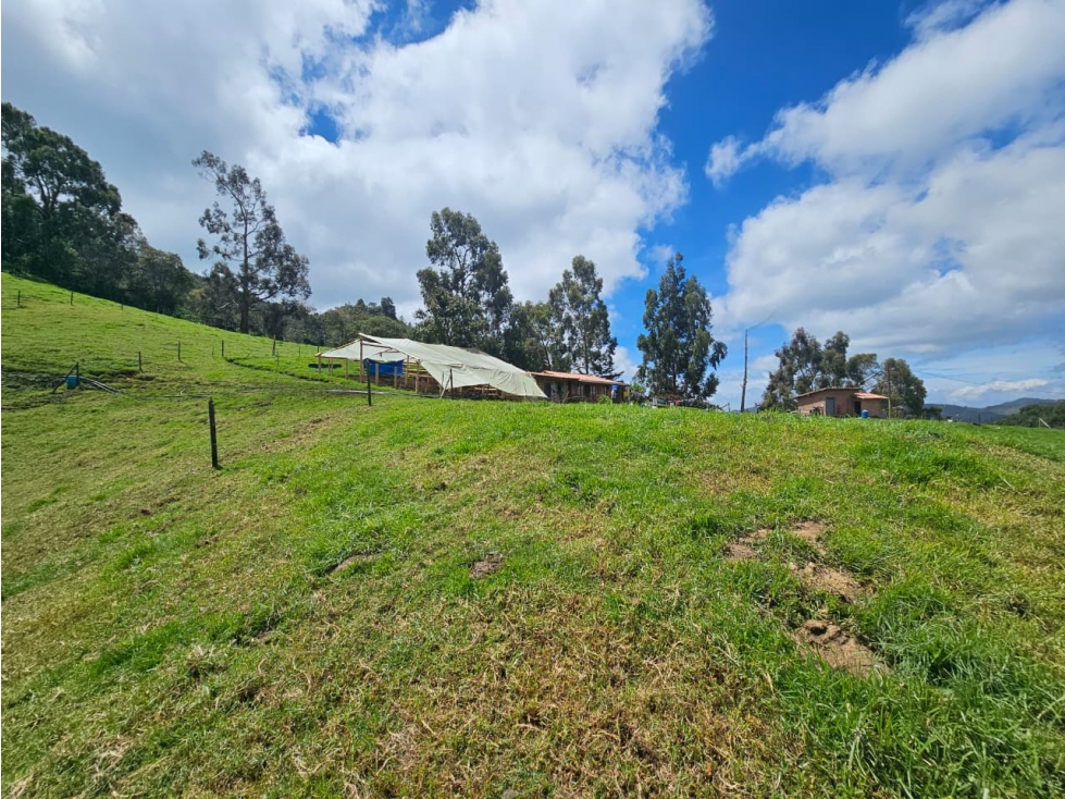 Lote en venta vereda Zafra, San Pedro de los Milagros — foto 2