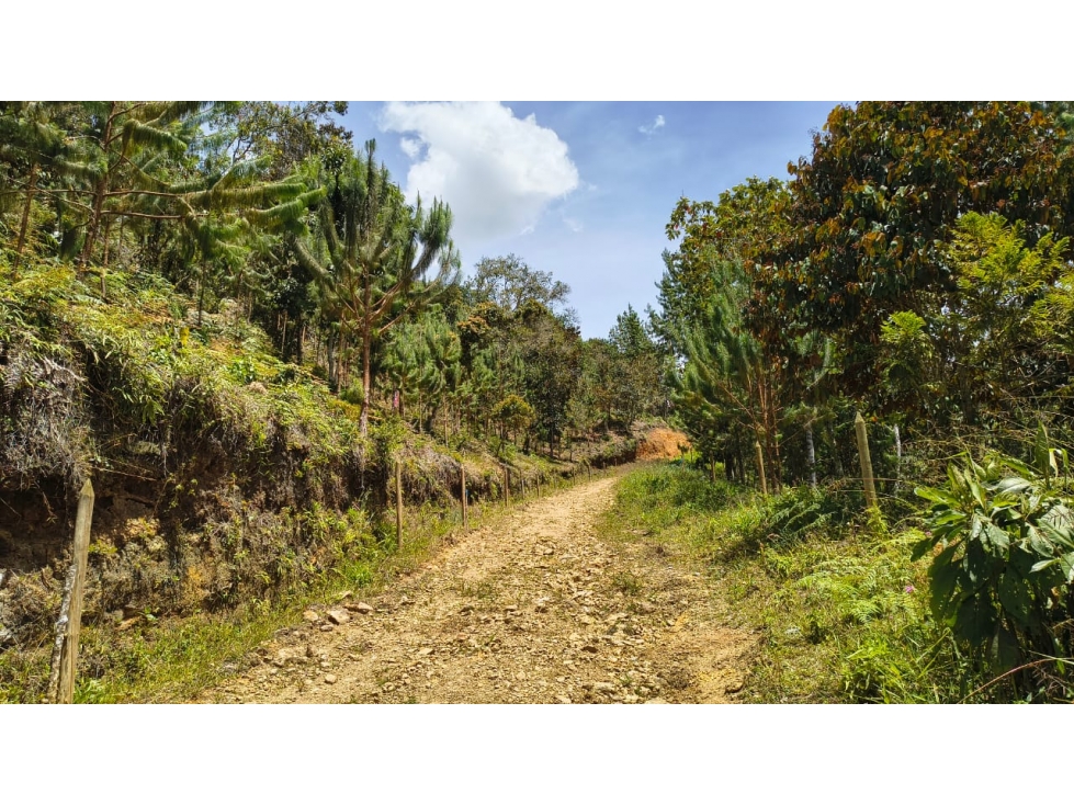Lote en venta sector La Pastorcita, Guarne — foto 2
