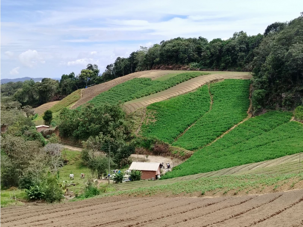 Casa lote agrícola en venta, sector bodegas, El Santuario - 3