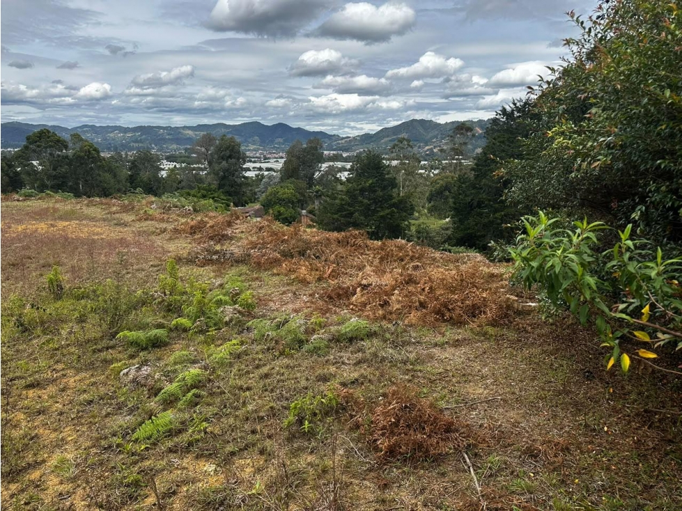 Lote campestre en venta vereda Guamito, La Ceja — foto 2