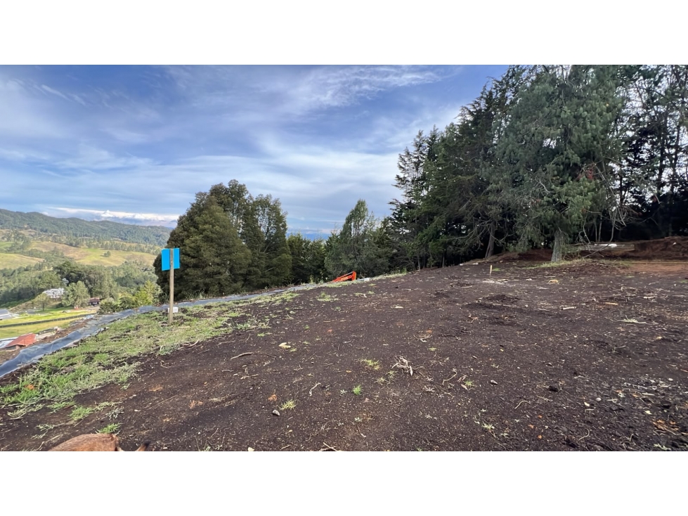 Lote campestre en venta, Alto de Palmas, Envigado - 2