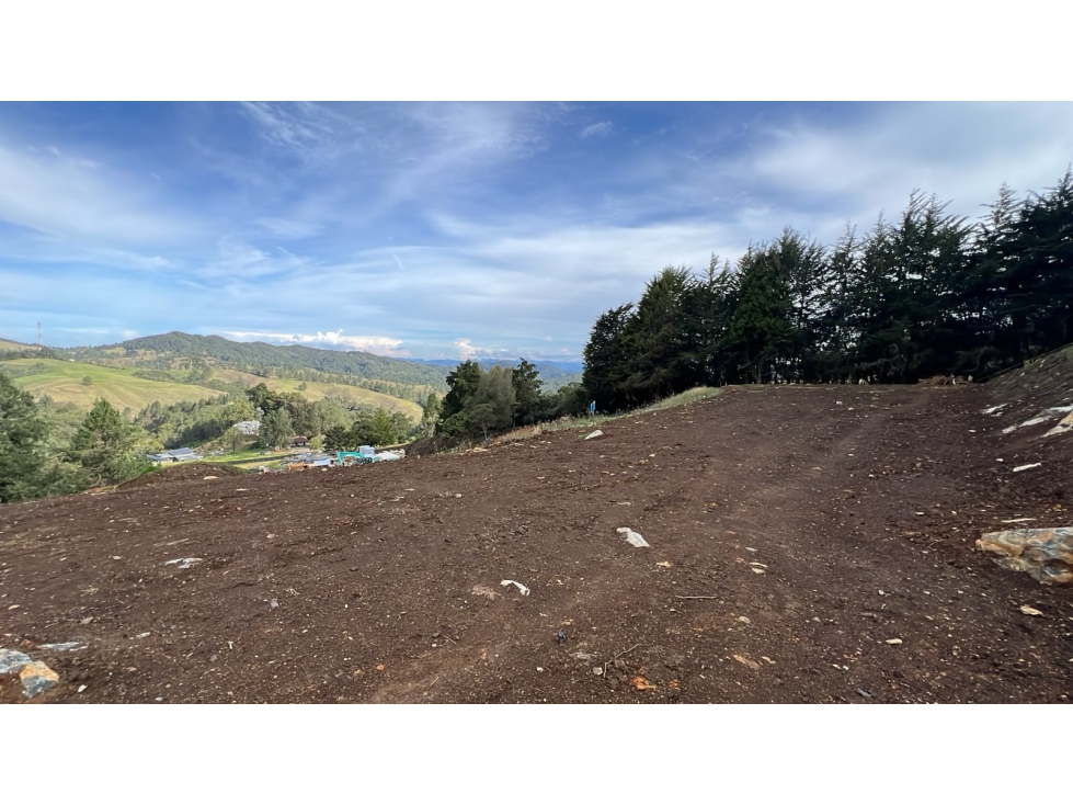 Lote campestre en venta sector Alto de Palmas, Envigado - 2