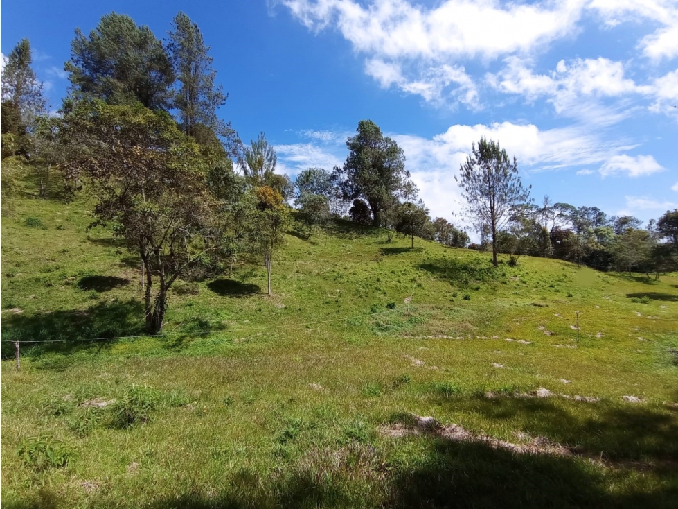 Lote en Venta en Parcelación Nueva El Retiro Sector Paso del Toro
