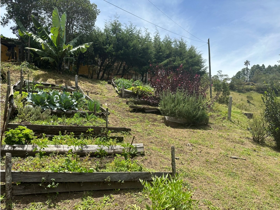 Casa Campestre en Venta Vereda El Portento- La Duenda, El Retiro — foto 4