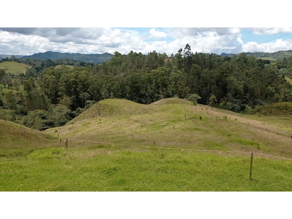Lote en Venta en Parcelación Nueva Sector Pantanillo en El Retiro — foto 4