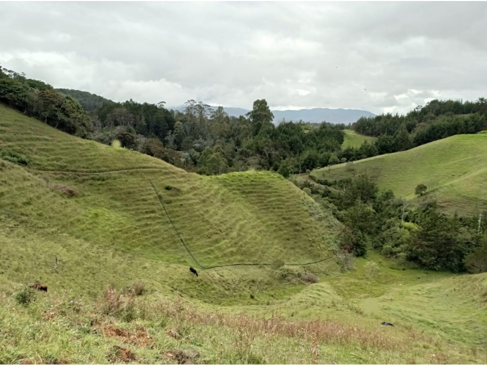 Hermoso Lote en Venta Parcelación Vía el Retiro - La Ceja Pantanillo — foto 2