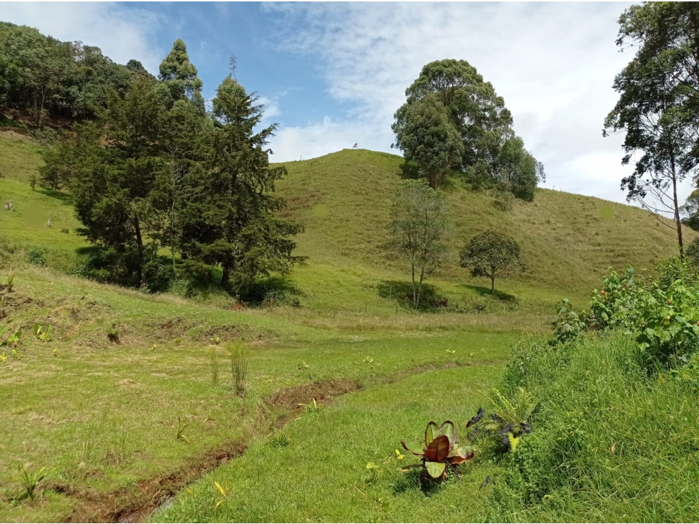 Lote en Venta en Parcelación Vía el Retiro - La Ceja Vereda Pantanillo — foto 6