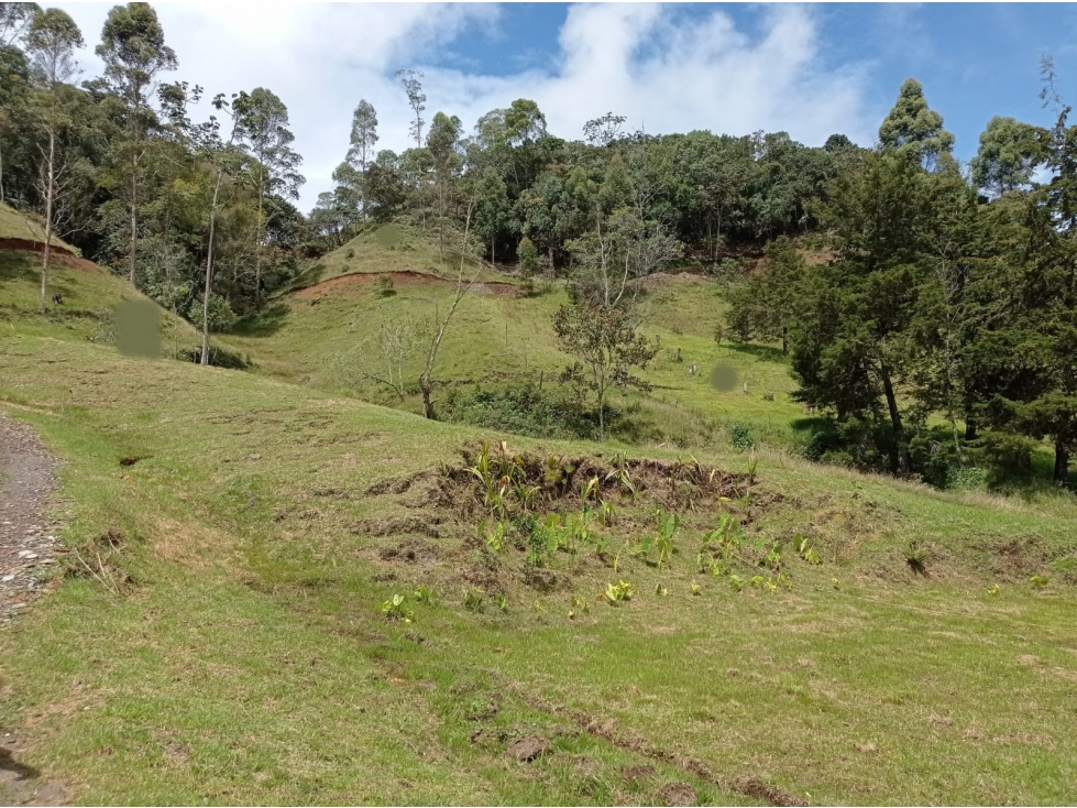 Hermoso Lote en Venta Parcelación Vía el Retiro - La Ceja Pantanillo — foto 6