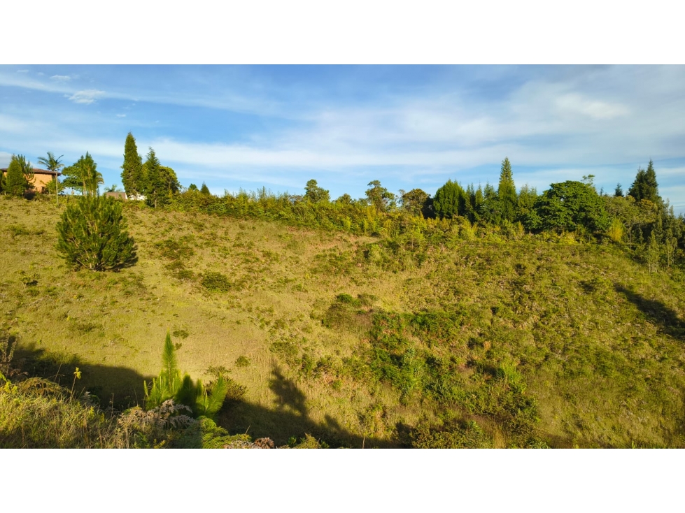 Lote suburbano en venta, Vereda Toldas. Guarne — foto 2