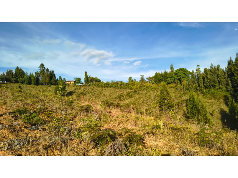 Lote suburbano en venta, Vereda Toldas. Guarne — foto 3