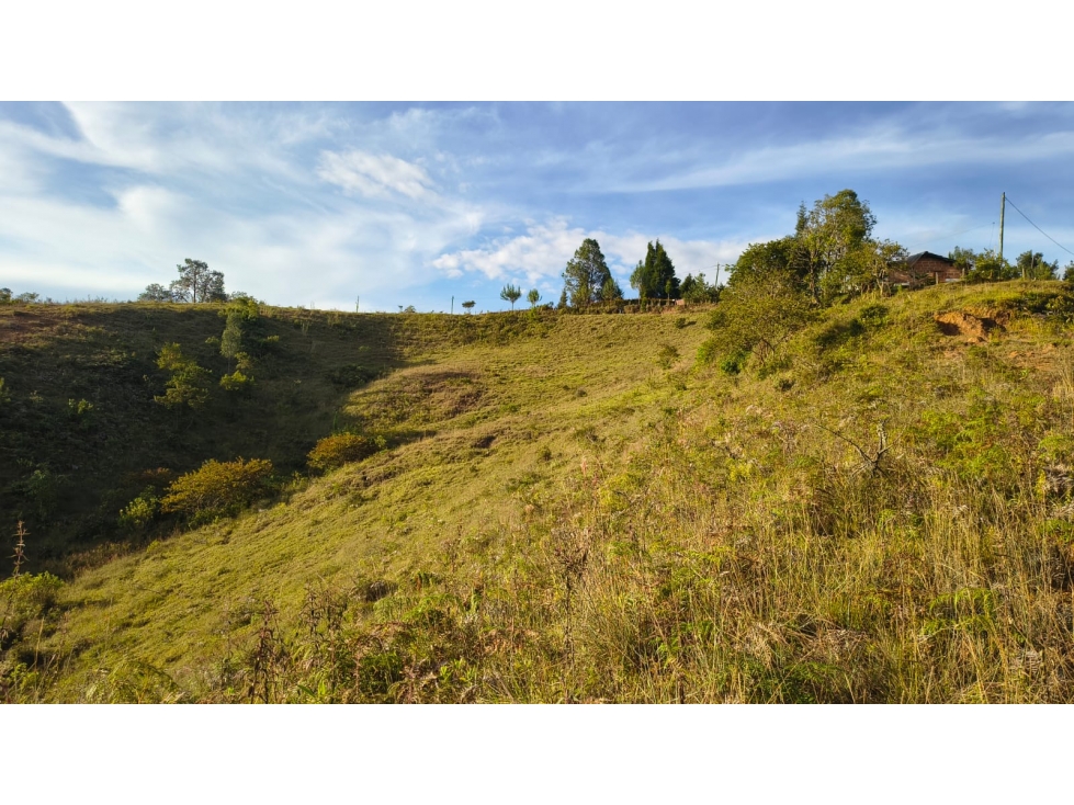 Lote suburbano en venta, Vereda Toldas. Guarne — foto 5