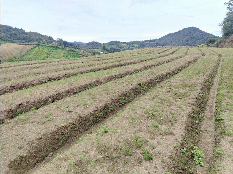 Casa lote agrícola en venta, sector bodegas, El Santuario - 1