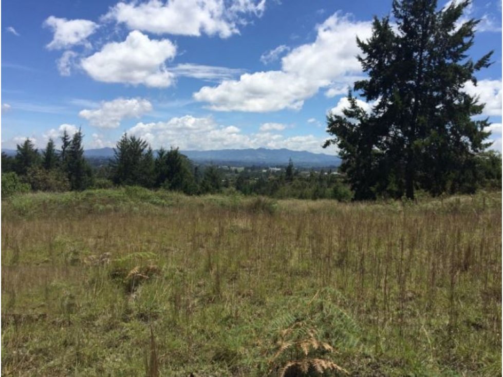 Lote en Venta sector Rancherías en Rionegro — foto 3
