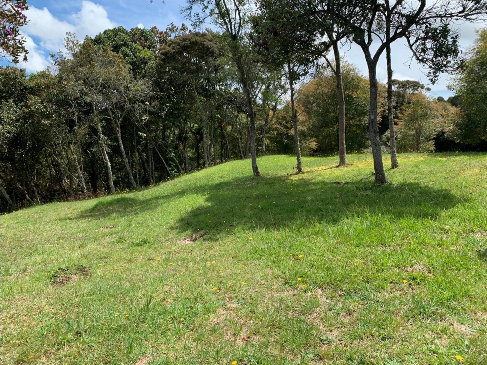 Lote en Venta en el Alto de Las Palmas — foto 5