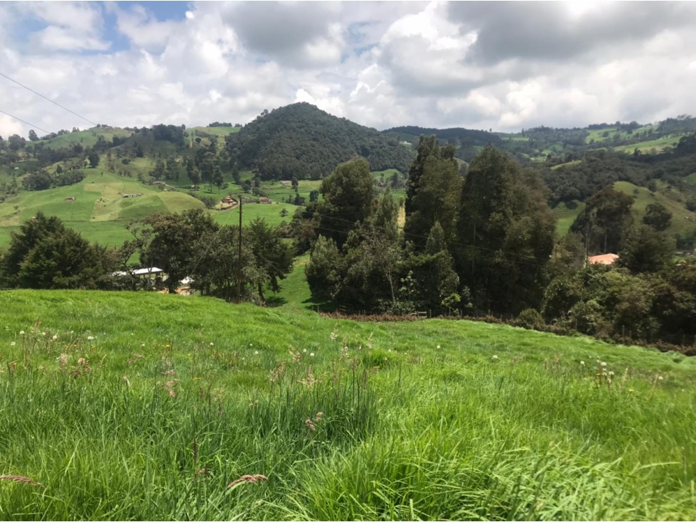 Lote en Venta en San Pedro de los Milagros Vereda La Pulgarina — foto 3