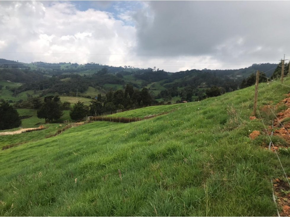 Lote en Venta en San Pedro de los Milagros Vereda La Pulgarina — foto 5