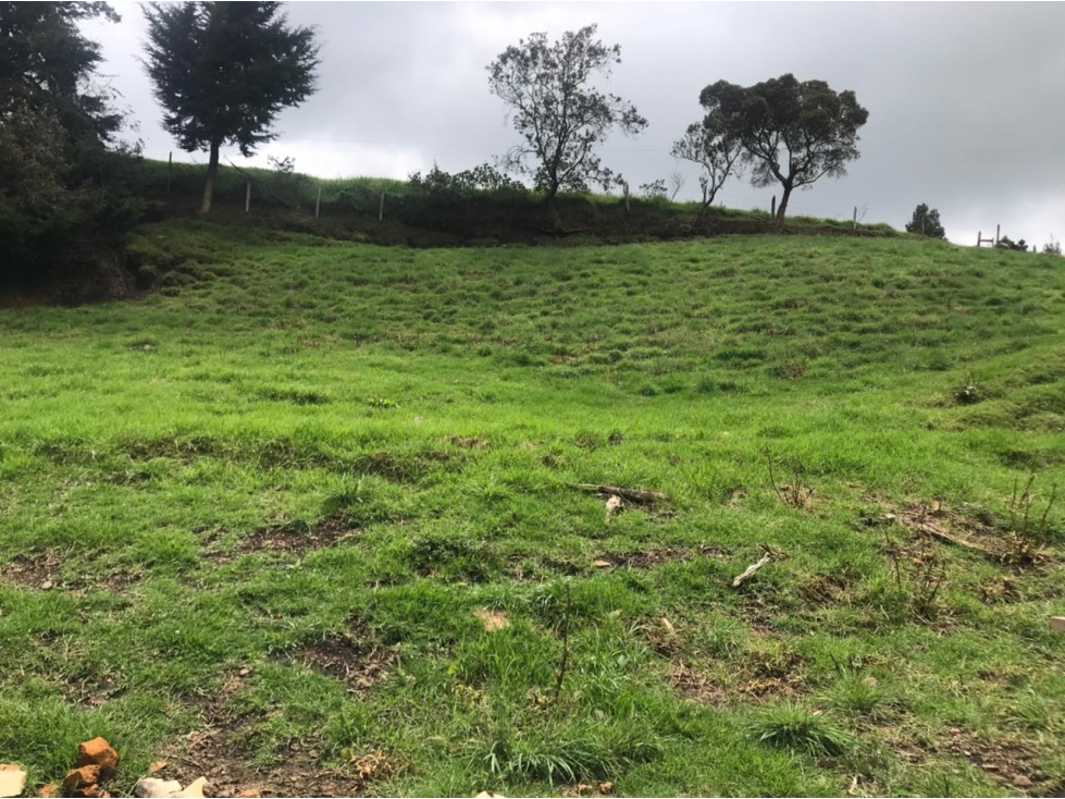 Lote en Venta en San Pedro de los Milagros Vereda La Pulgarina — foto 2