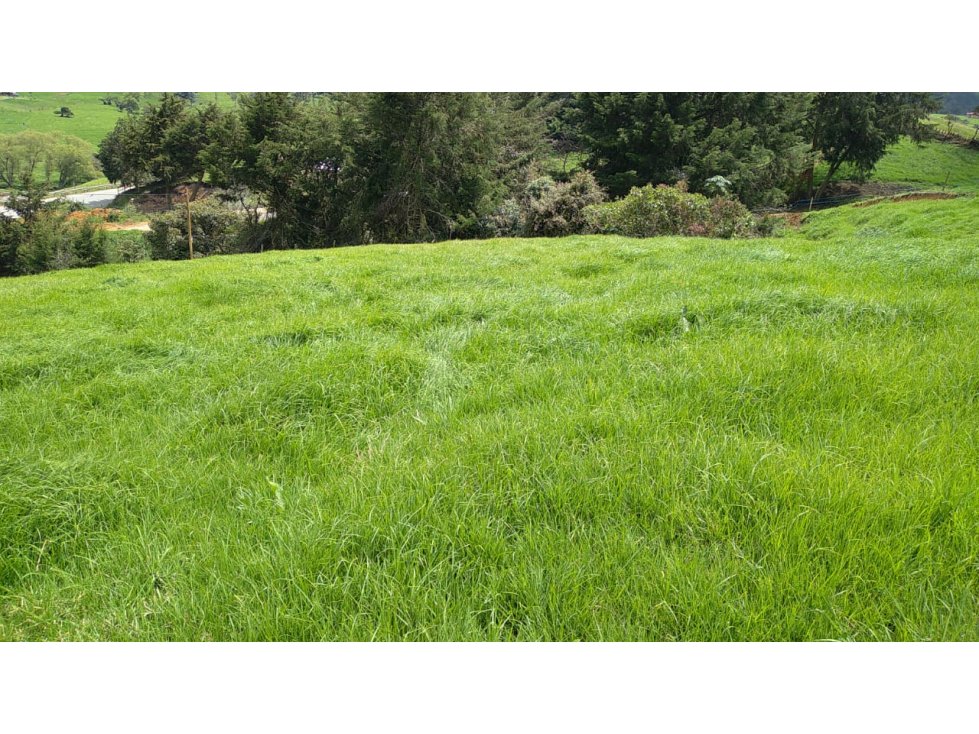 Lote en Venta en San Pedro de los Milagros Vereda La Pulgarina — foto 2