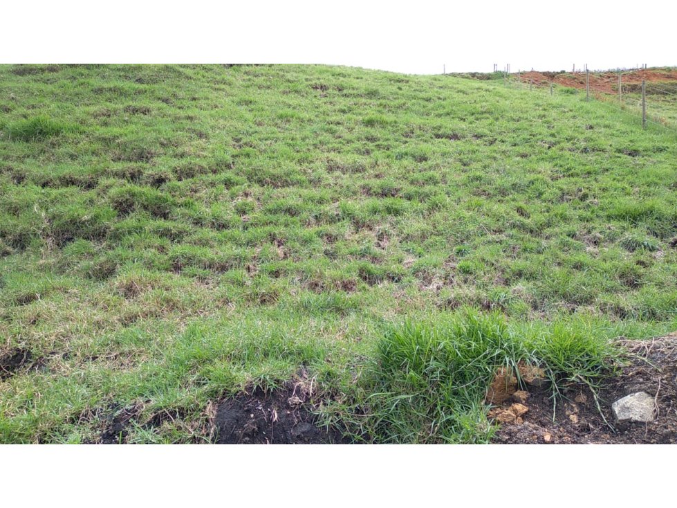 Lote en Venta Vereda La Pulgarina en San Pedro de los Milagros