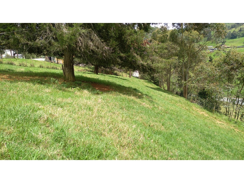 Lote en Venta Vereda La Pulgarina en San Pedro de los Milagros — foto 3