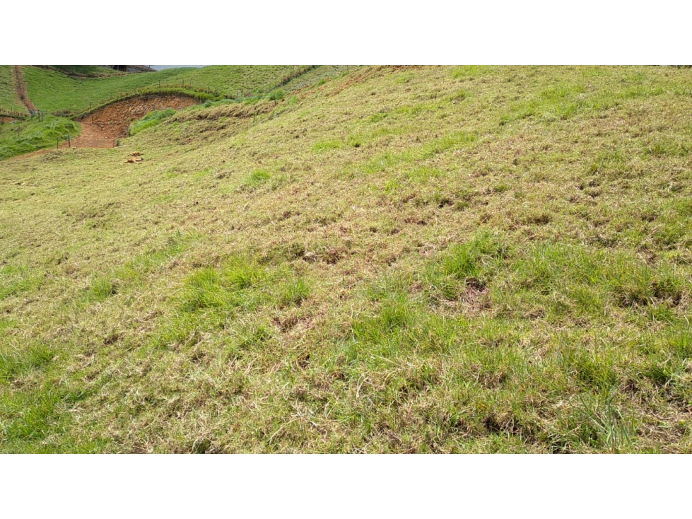 Lote en Venta en la Vereda La Pulgarina San Pedro de los Milagros — foto 2
