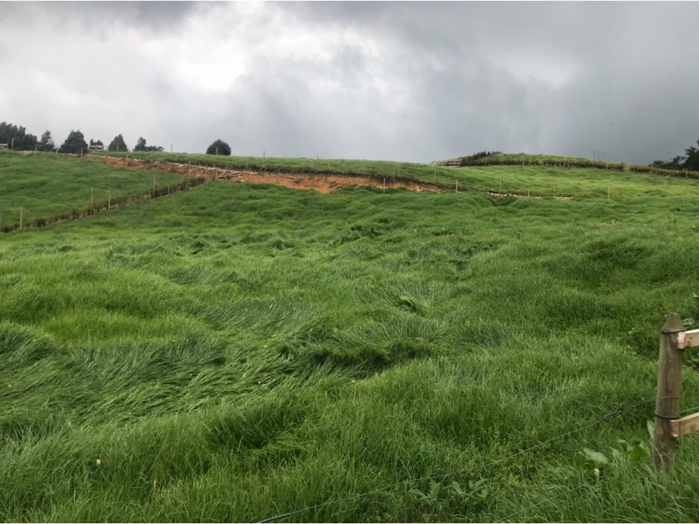 Lote en Venta Vereda La Pulgarina en San Pedro de los Milagros