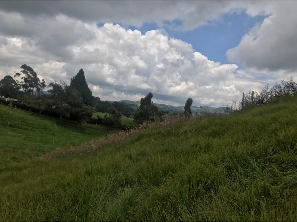 Lote en Venta Vereda La Pulgarina en San Pedro de los Milagros — foto 4