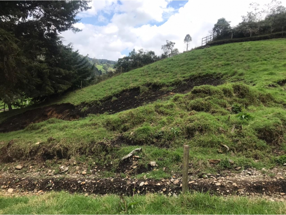 Lote en Venta Vereda La Pulgarina en San Pedro de los Milagros — foto 2