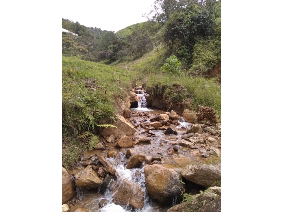 Lote en Venta vereda Guamito en El Peñol - 3