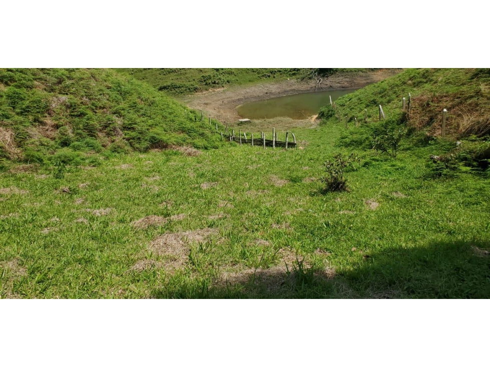 Lote en Venta sector El Uvital en El Peñol - 1