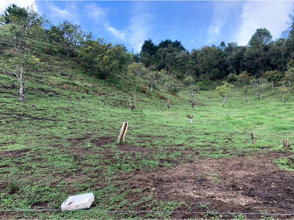 Lote en Venta sector Pantanillo en El Retiro — foto 4