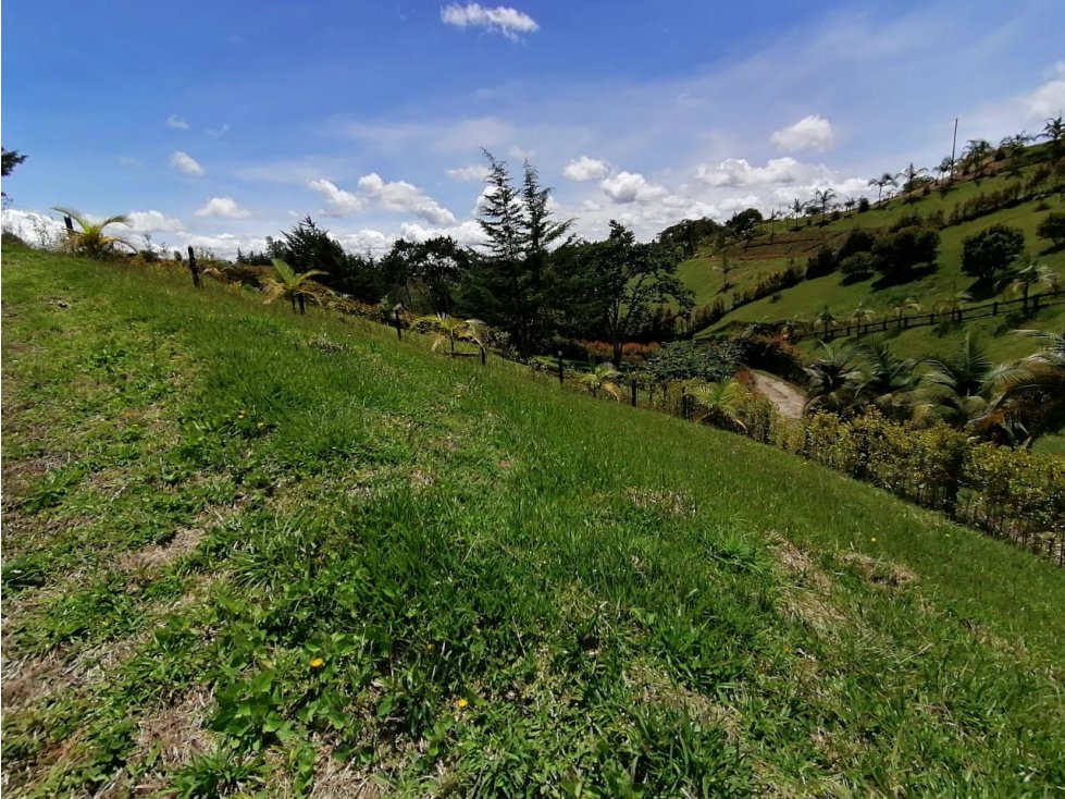 Lote en Venta El Carmen de Viboral en el Sector el Canadá — foto 3