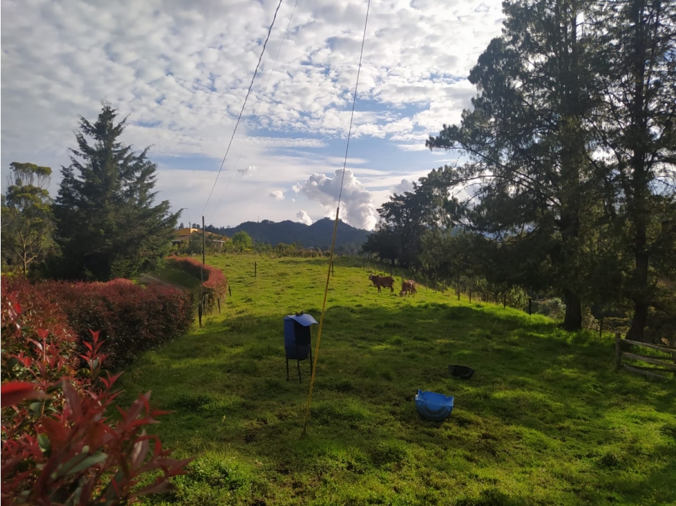 Lote en Venta Vereda El Portento en El Retiro - 3