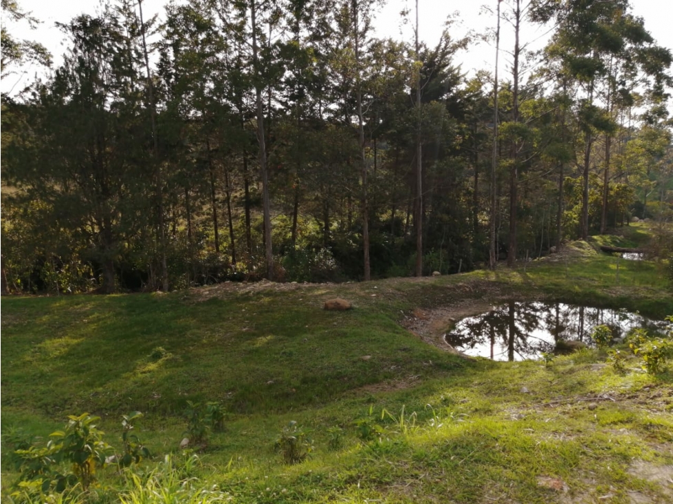 Lote en Venta en Guatapé Sector Los Benedictinos — foto 5