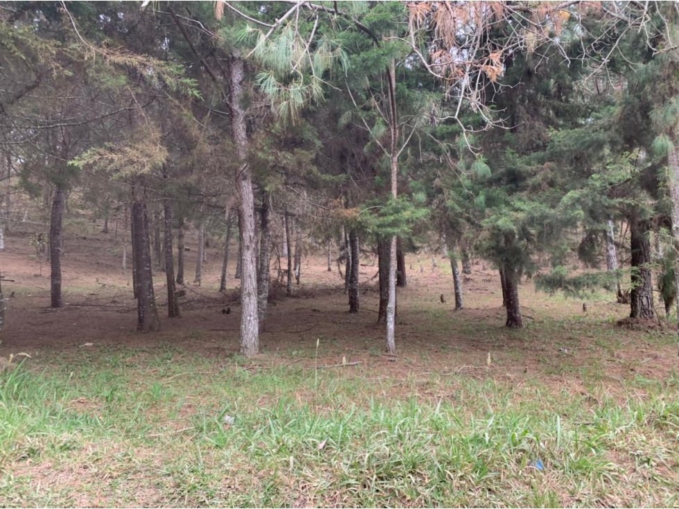 Lote en Venta Sector Lejos del Nido en el Retiro — foto 3