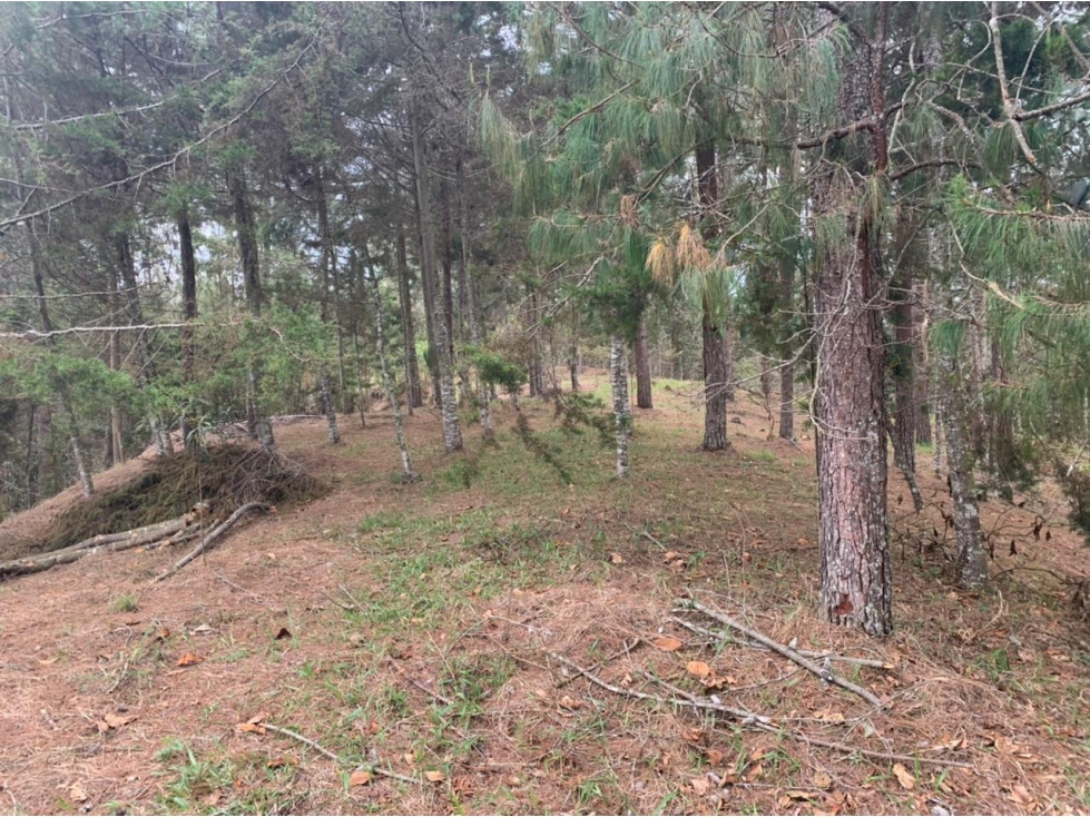Lote en Venta en el Retiro, Sector Lejos del Nido — foto 6