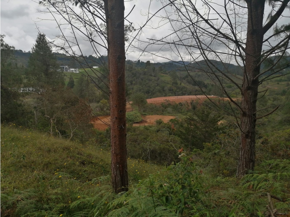 Lote en Venta Sector La Truchera San Vicente — foto 6
