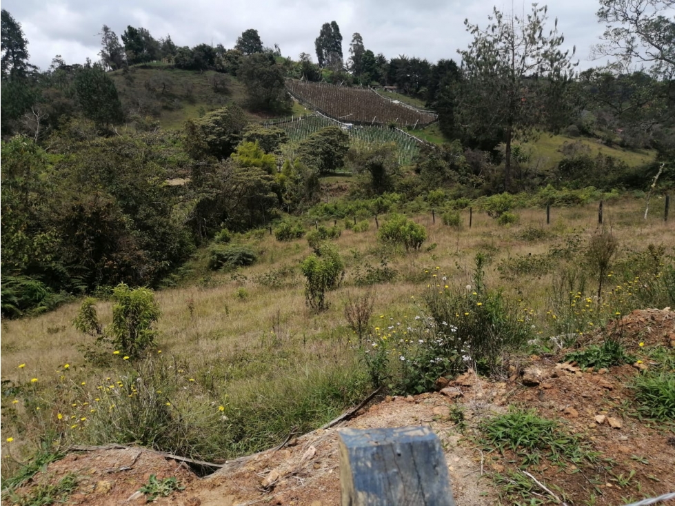 Lote en Venta Municipio de San Vicente en el Sector de la Truchera