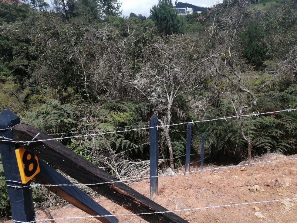 Lote en Venta Sector La Truchera Municipio de San Vicente — foto 3