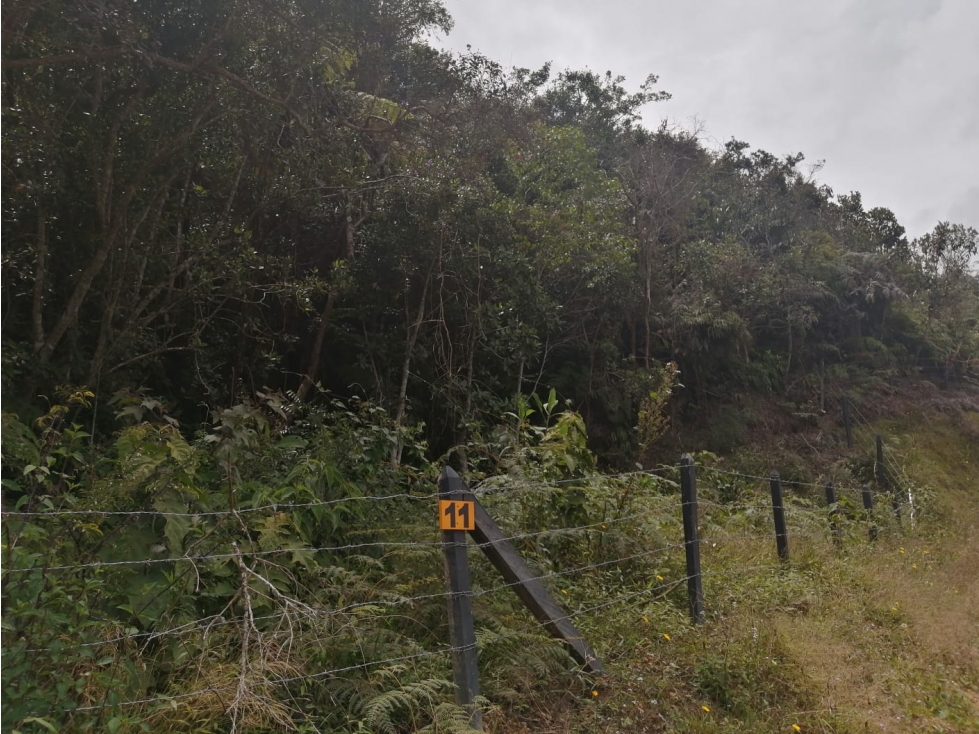 Lote en Venta Sector la Truchera, Municipio de San Vicente