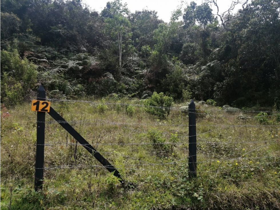 Lote en Venta en el Sector la Truchera Municipio de San Vicente — foto 2