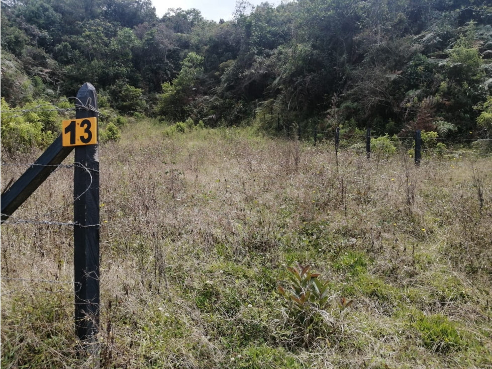 Lote en Venta Municipio de San Vicente Sector la Truchera — foto 2