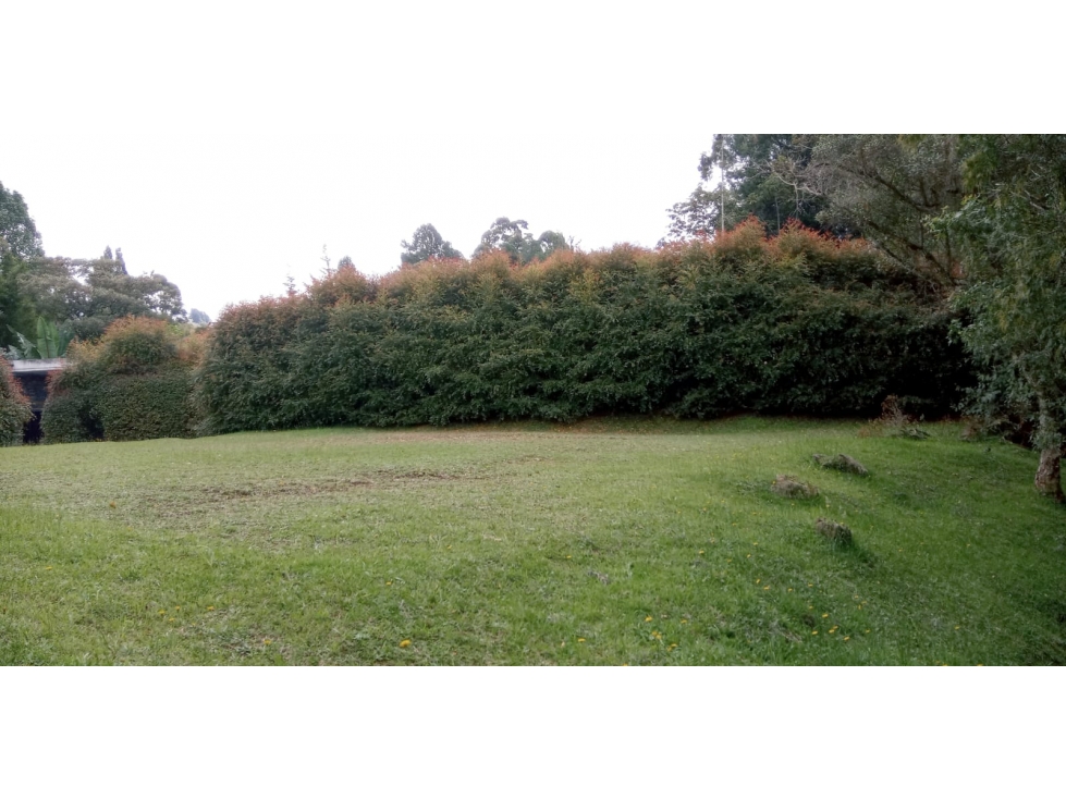 Lote en Venta Sector Variante Palmas, Envigado — foto 6