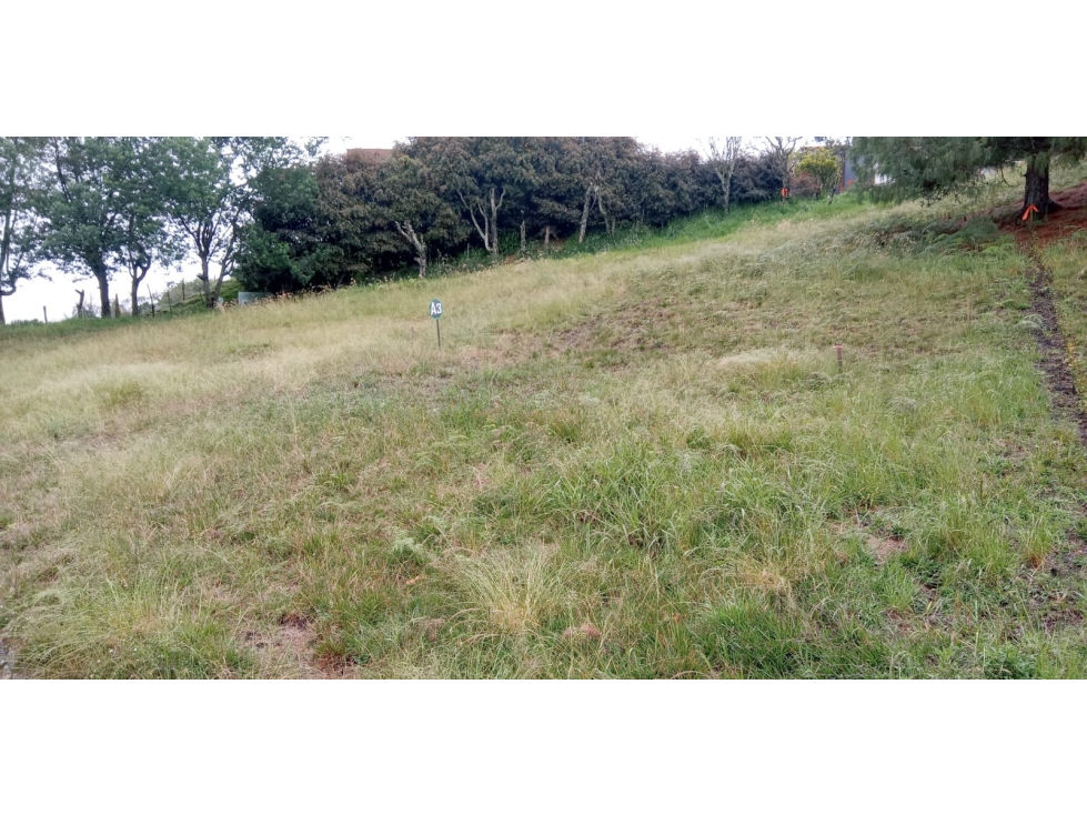 Lote en Venta Alto de las Palmas, Sector el Silencio Envigado — foto 5