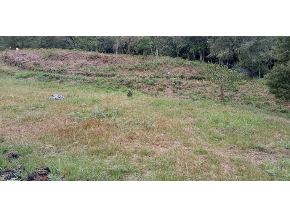 Lote en Venta Sector el Silencio Alto de las Palmas Envigado — foto 6