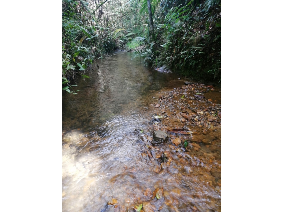 Lote en Venta de 20.000 m2 por $800.000.000 Sector Guapante en Guarne — foto 2