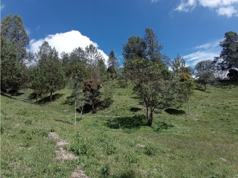Lote en Venta en Parcelación El Retiro Sector Paso del Toro — foto 6
