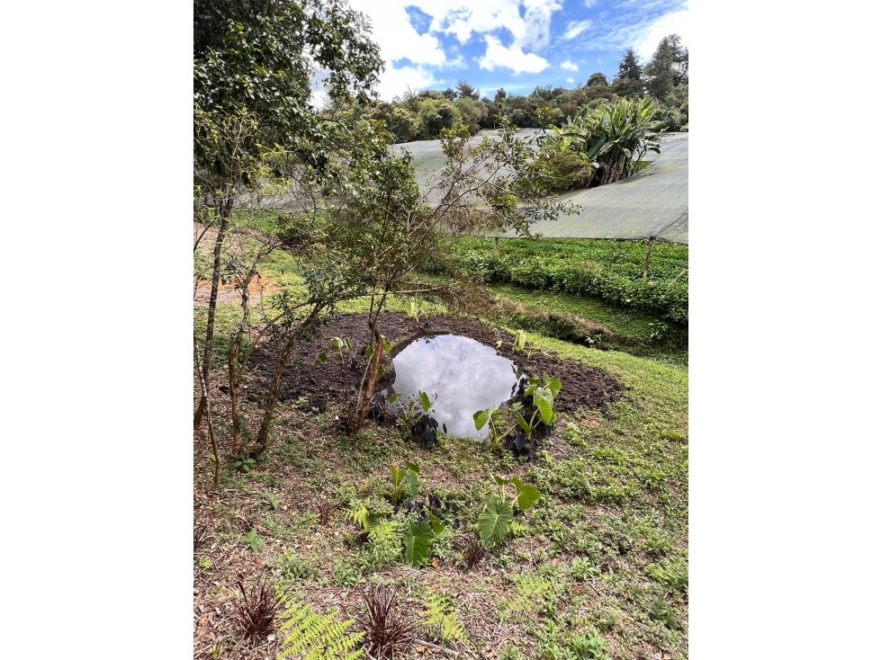 Lote en Venta 3.340 m2 por $430.000.000 Aguas Claras Carmen De Viboral — foto 3